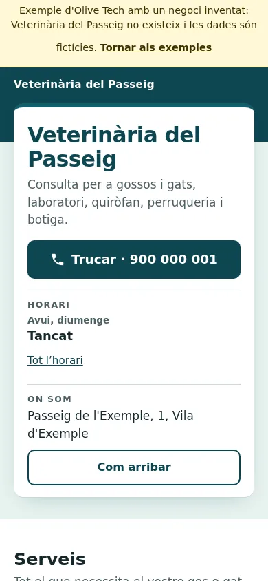 Captura de la web d'exemple de Veterinària del Passeig en un mòbil: el nom, el botó de trucar, l'horari d'avui i l'adreça a la primera pantalla.
